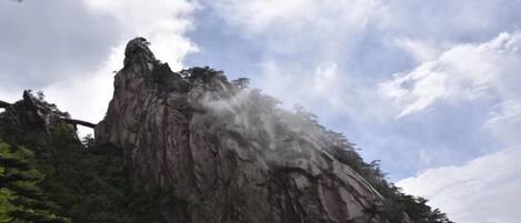 Un paisaje montañoso con un pico destacado y un bosque denso.