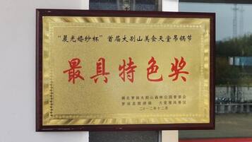 A framed award plaque with Chinese characters, mounted on a wall.