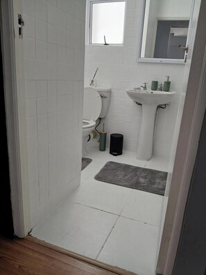Hair dryer, towels, toilet paper - Convenience, comfort, and coastal living. (cape town)