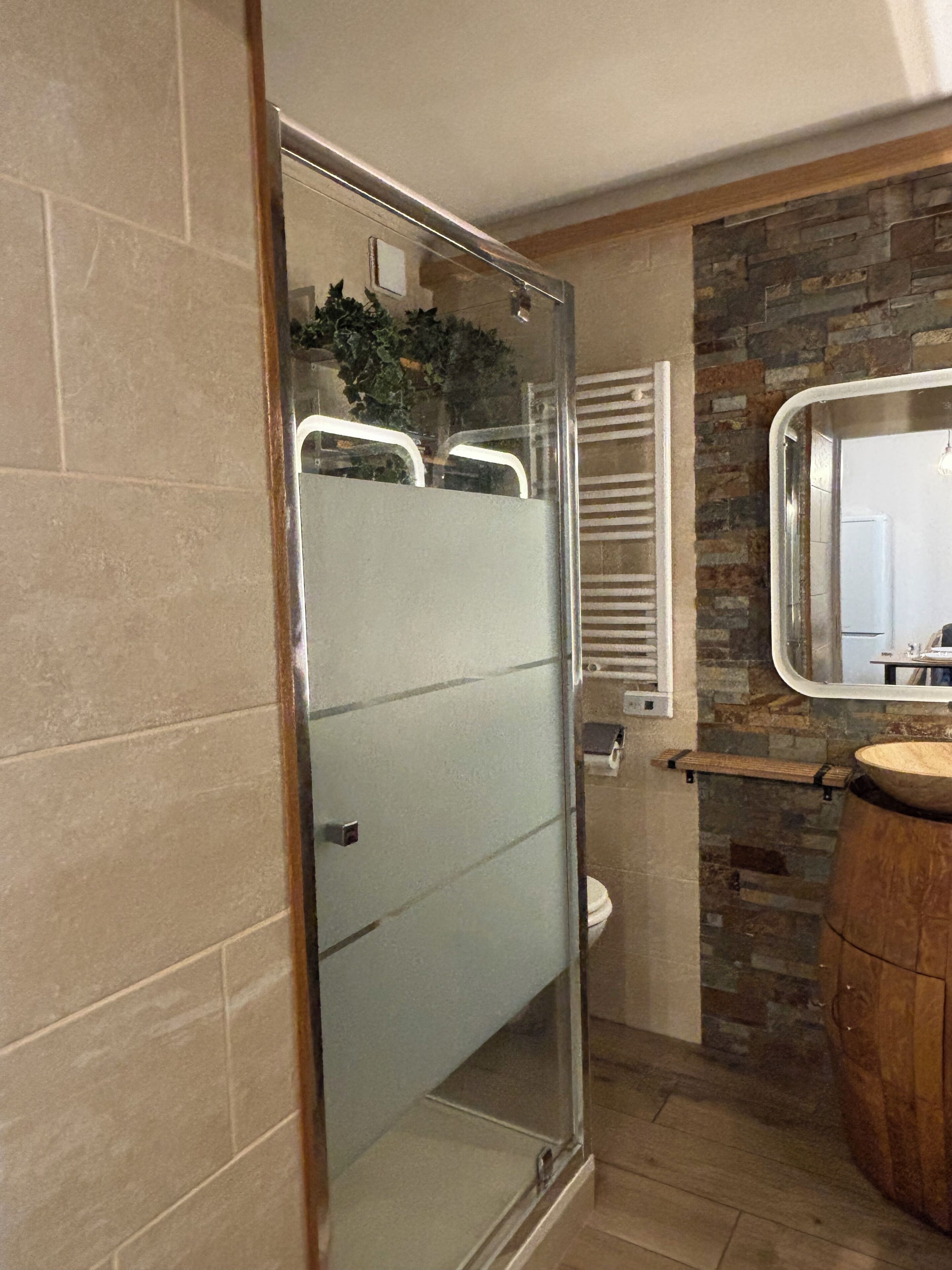 Shower, towels, toilet paper