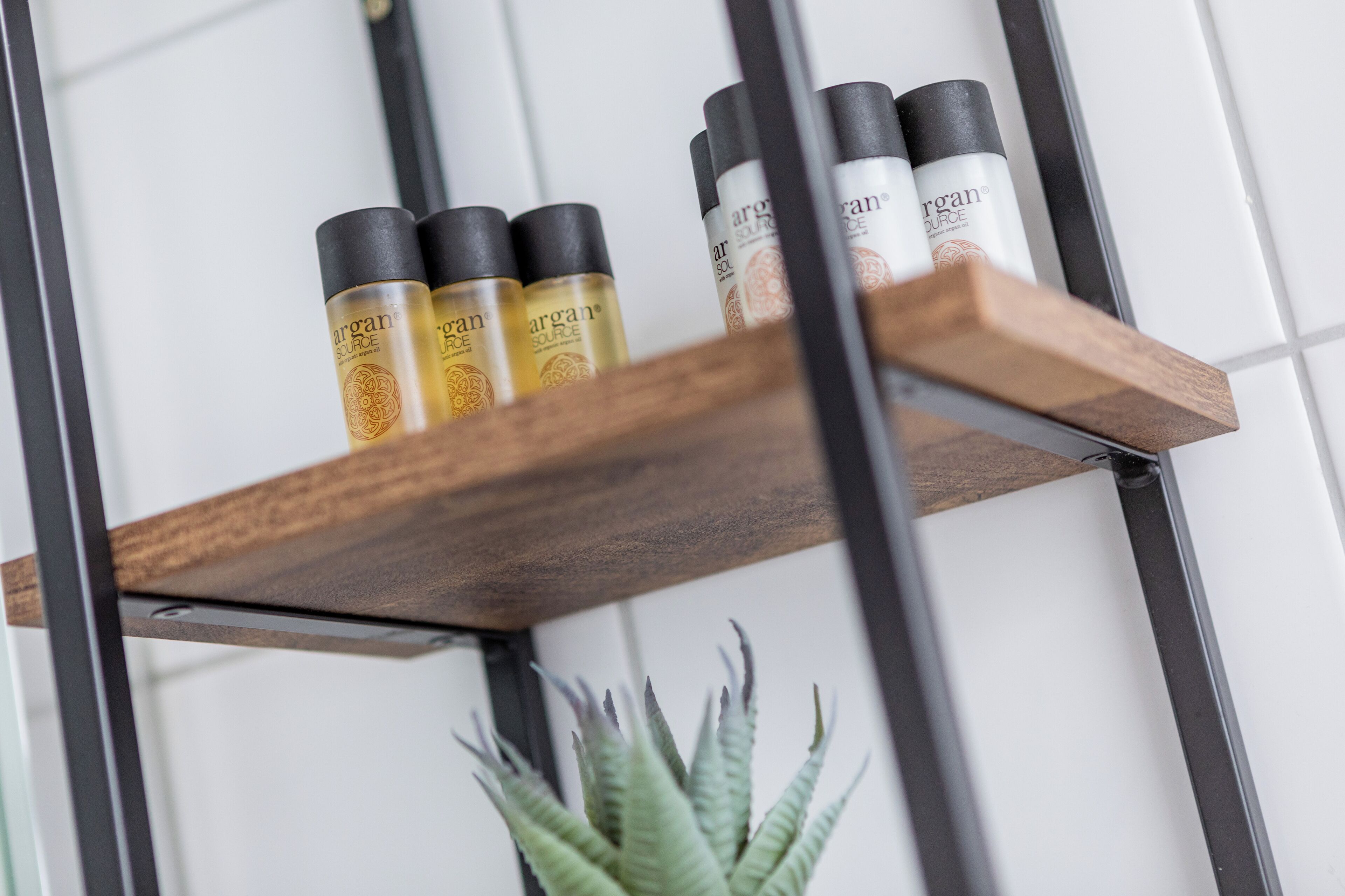 Une étagère avec des bouteilles d’huile d’argan et une plante verte.