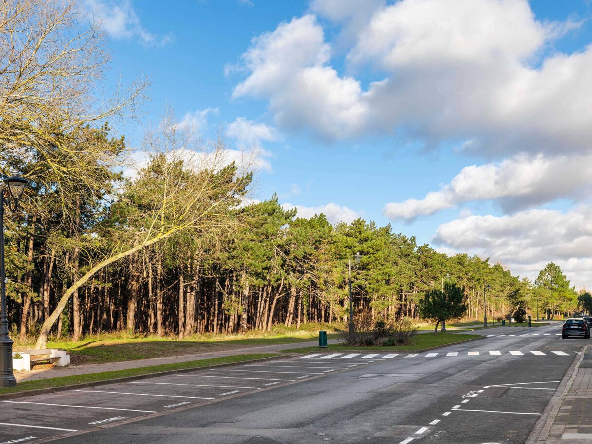 Une rue bordée d’arbres, avec un passage piéton et une voiture garée.