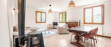Smart TV, fireplace, DVD player, books