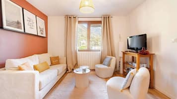 TV connectée, cheminée, lecteur de DVD, livres