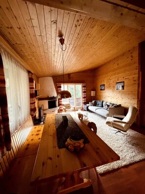 Smart TV, chimenea, reproductor de DVD, libros