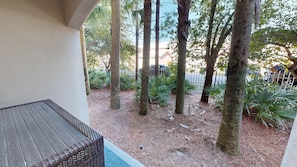 Terrace/patio - Gorgeous Alerio 103E with Beach Service (Miramar Beach)