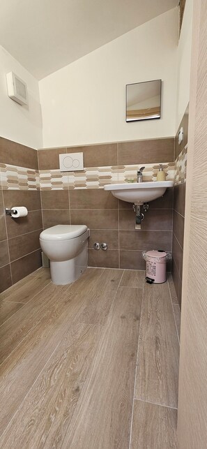Een douche, een haardroger, een bidet, handdoeken