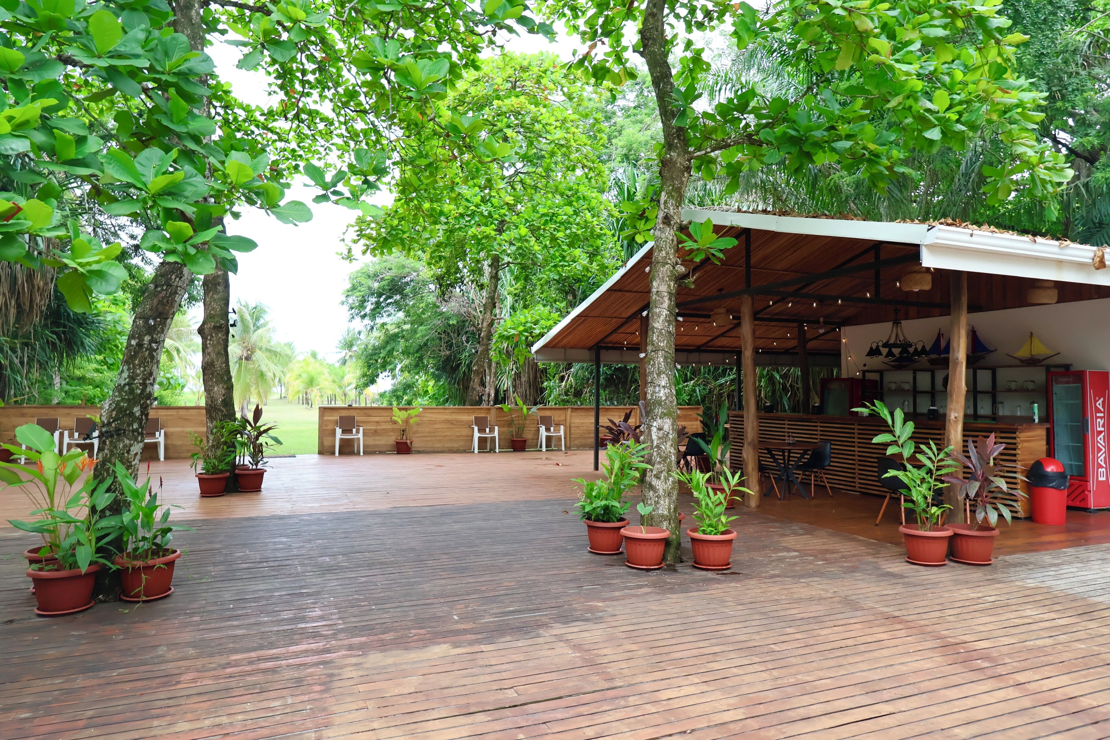 Un patio exterior con suelo de madera, plantas en macetas y una zona de estar cubierta.