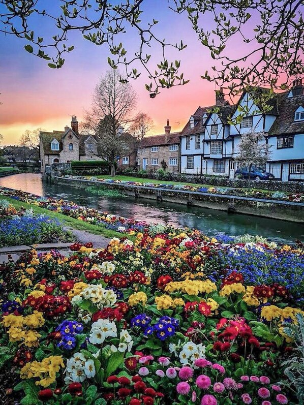 Property grounds - The Castle City Centre Apartment Canterbury, Kent (Canterbury)