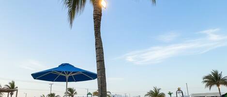 3 outdoor pools