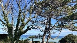 Property grounds - Ciel et Mer, Apartment with sea view and garden (Varengeville-sur-Mer)