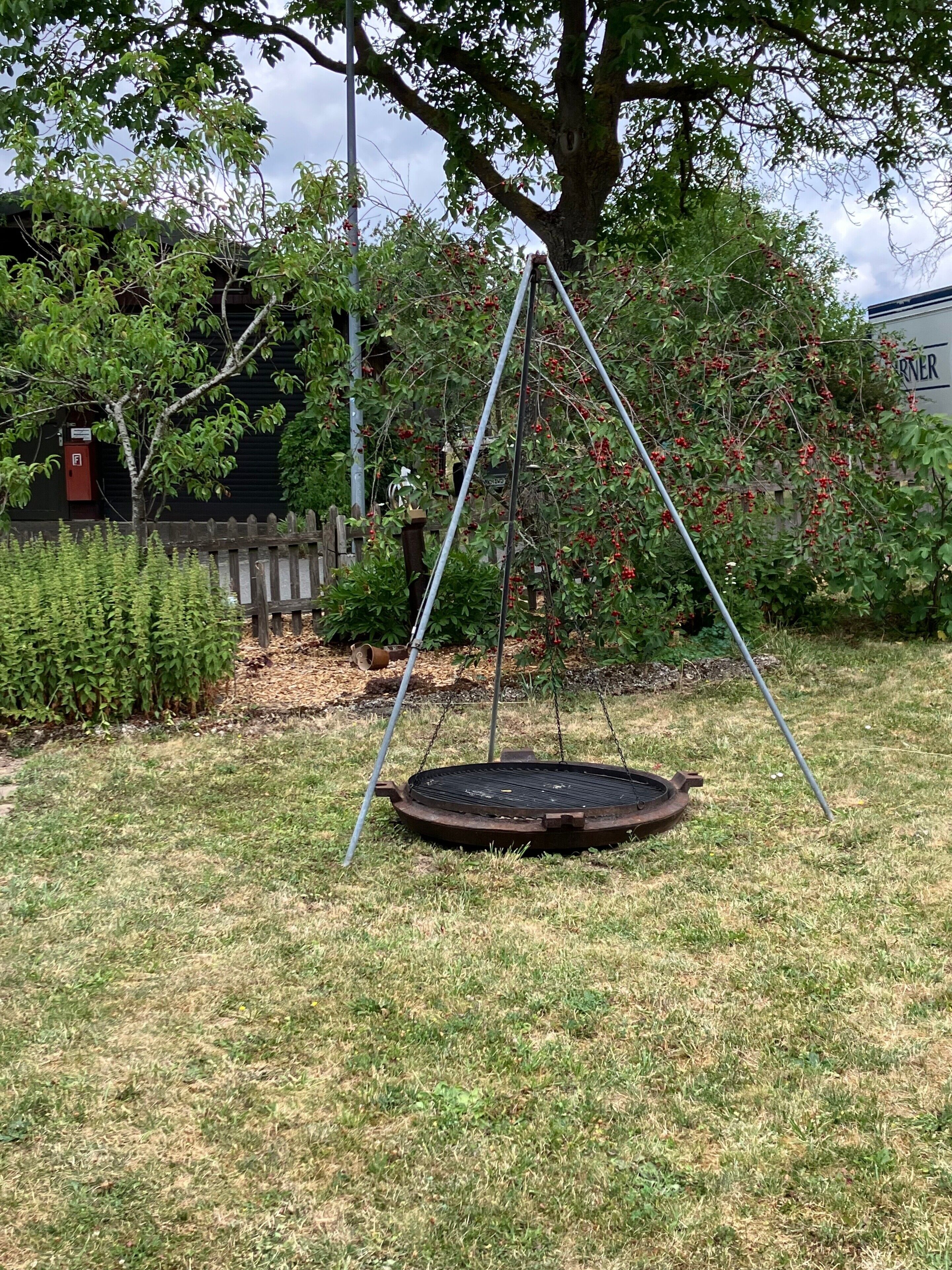 A garden with a swing set, a tree, and a building in the background.