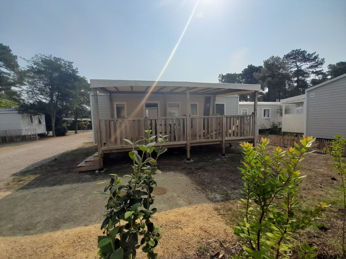 Imagen de perfil del propietario o de la propietaria