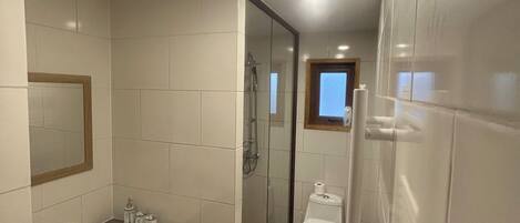 Hair dryer, towels, soap, toilet paper