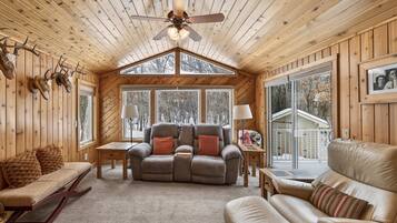 TV connectée, cheminée, livres, écrans d'ordinateur