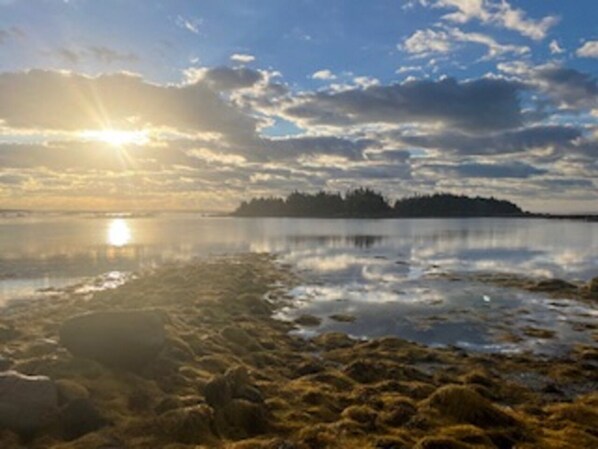 Exterior - Route3BnB (Shag Harbour)