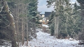 Un sentier enneigé qui mène à une maison entourée de grands arbres à feuilles persistantes.