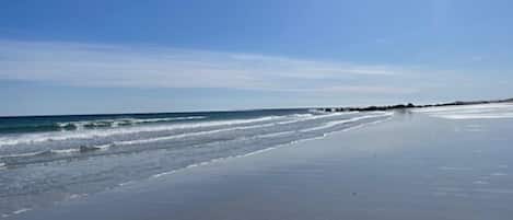 Vlak bij het strand, wit zand, strandlakens, vissen