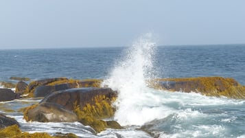 Beach nearby, white sand, beach towels, fishing