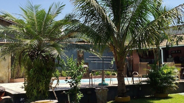 Zona de piscina amb palmeres, una petita font i una zona enjardinada.