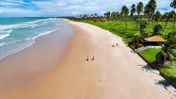 Apartment | Beach | On the beach, white sand, 20 beach bars