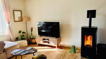TV, fireplace, table tennis