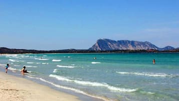 Toallas de playa