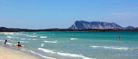Serviettes de plage