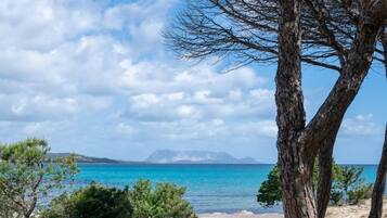 Toallas de playa
