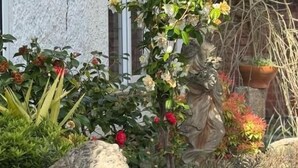 Un jardín con una estatua de león de piedra, diversas plantas y una cerca rústica.