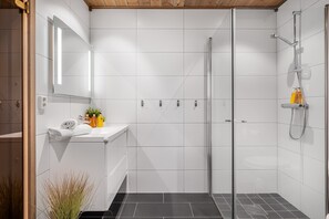 Shower, hair dryer, towels