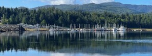A marina with boats docked, a bridge, and a forested mountain backdrop.