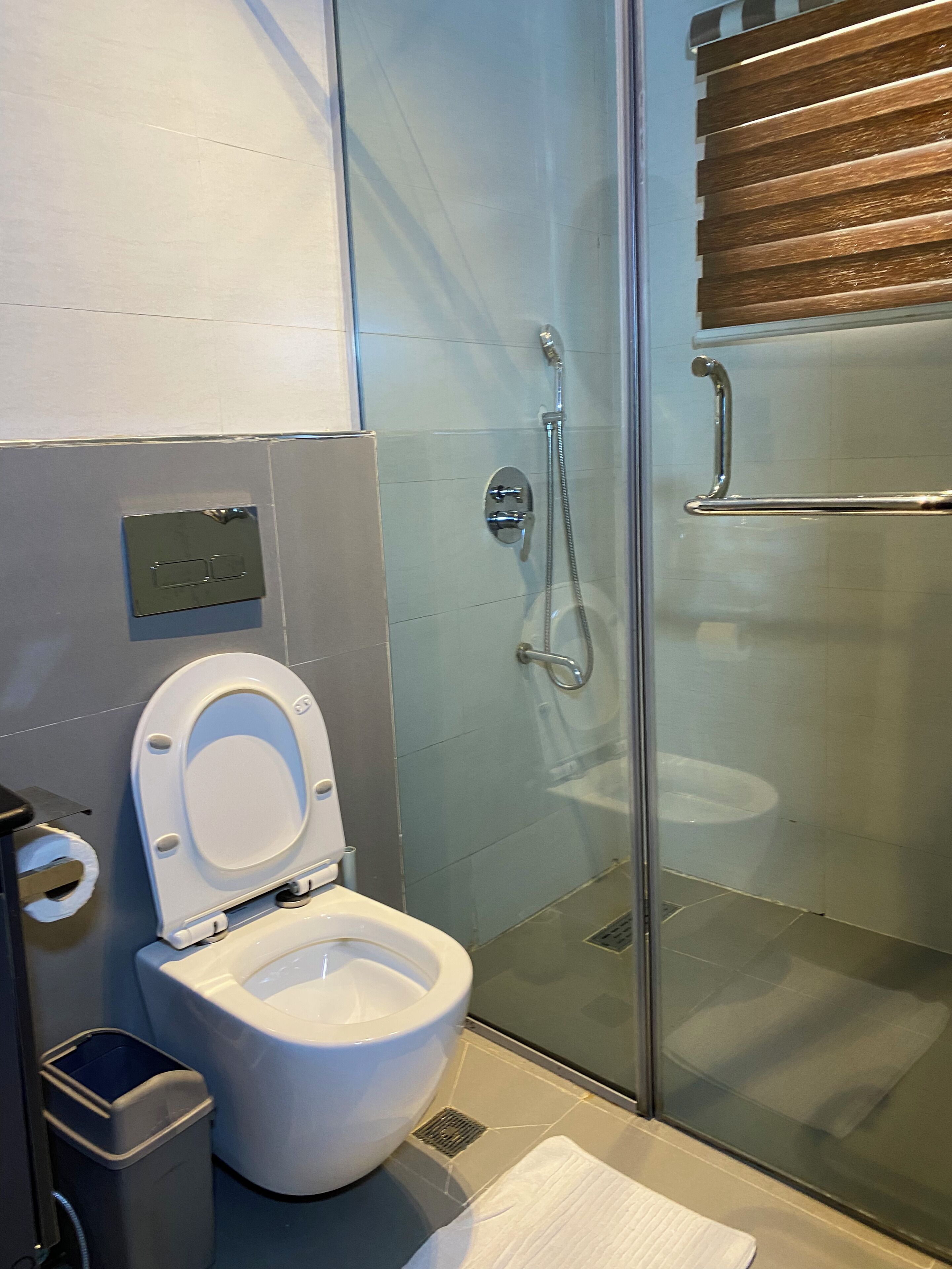 A modern bathroom with a toilet, a shower enclosure, and a handrail.