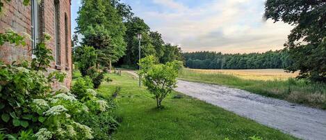 Área da propriedade