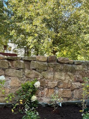 Khuôn viên nơi lưu trú