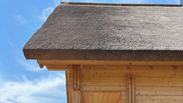 Ein Gebäude aus Holz mit einem Reetdach, einer Glaseinfriedung und einem Garten mit verschiedenen Pflanzen.