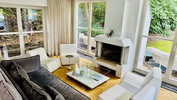 TV connectée, cheminée, lecteur de DVD, livres