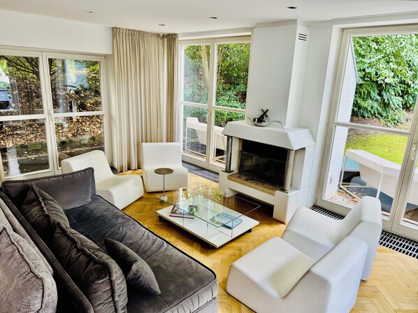 Smart TV, chimenea, reproductor de DVD y libros