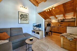 TV, table football - New mountain villa with pool, barbecue and outdoor activities (Jasenak)