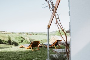 Property grounds - Countryside home with jacuzzi near vineyards and thermal spa. (Železna Gora)