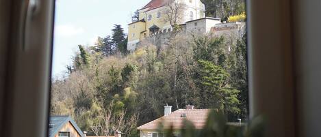A window view of a building on a hill, with a plant in the foreground.