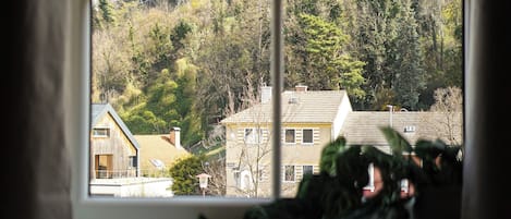 Double Room, Mountain View | View from room