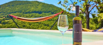 Family mountain retreat with pool, terrace, BBQ, and scenic Samobor hills for all.