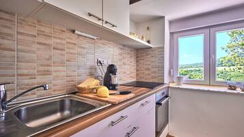 Fridge, oven, stovetop, dishwasher