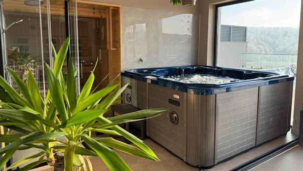 Un baño moderno con cabina de ducha de vidrio, un amplio jacuzzi y una planta en maceta.