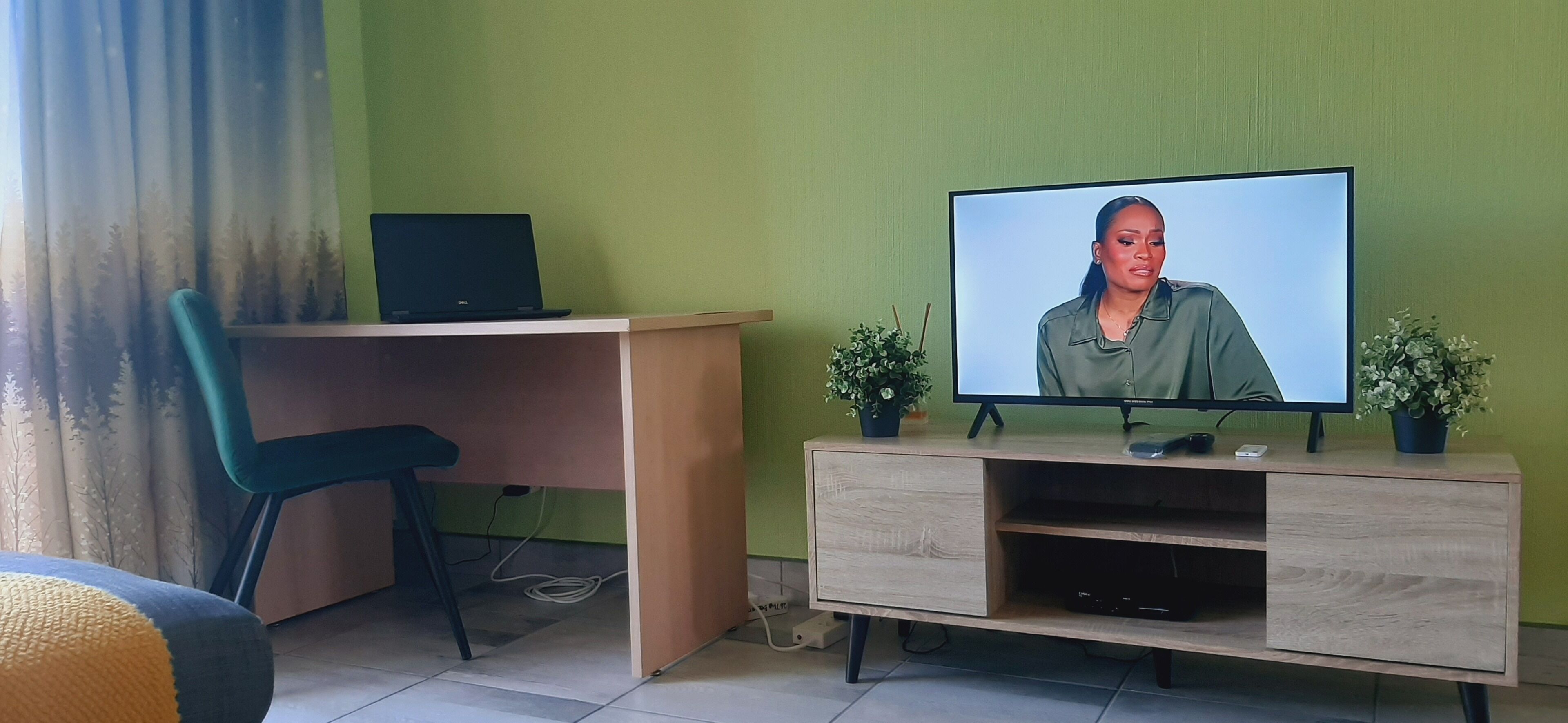 Ein Zimmer mit Schreibtisch, Stuhl, Fernseher und zwei Zimmerpflanzen.