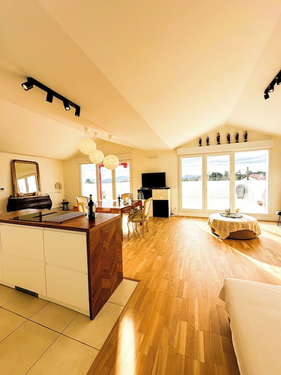 Apartment T4 Large Terrace, Roof Top Mountain View - Biarritz