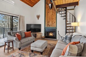 TV, fireplace, offices