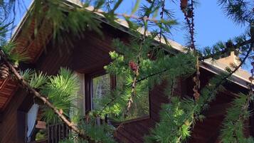 Ein Holzhaus mit Veranda, zwei Stühlen und einer kleinen Terrasse.