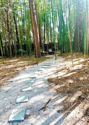 Une zone boisée avec un sentier de gravier et un banc.